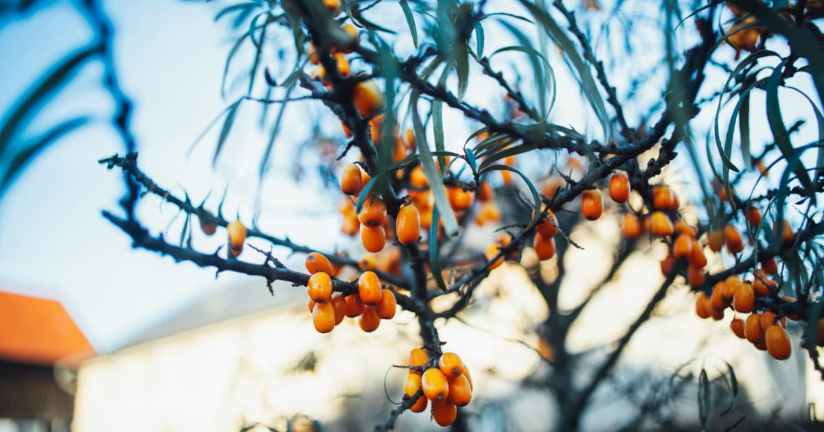 UroLux Concierge™ lanza un centro especializado en menopausia para abordar el estrés navideño y las brechas en la atención médica