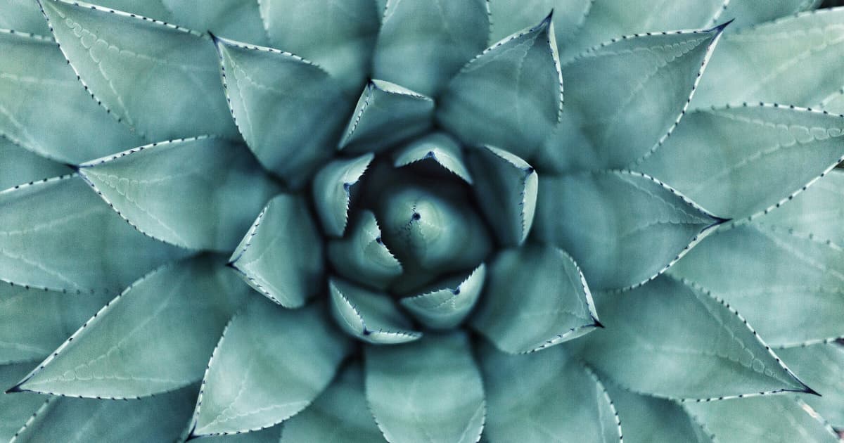 Terapeuta Laura Myres inaugura Therapeutic Massage Fort Worth en Salon & Spa Galleria con enfoque personalizado