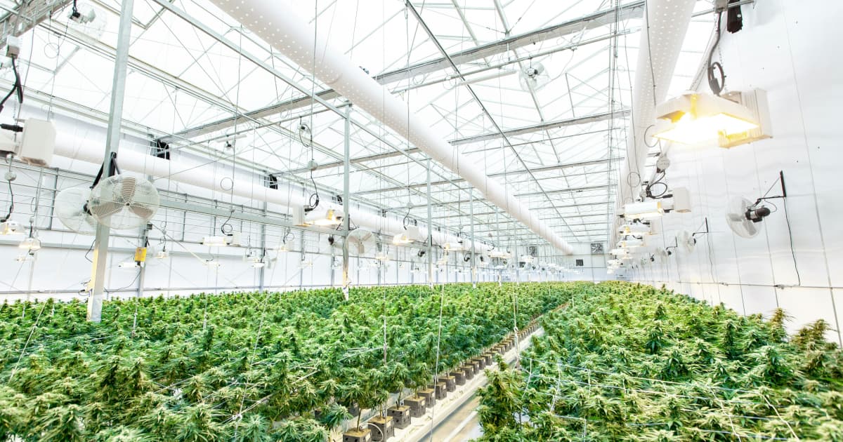 AXIM Biotechnologies y Medical Marijuana, Inc. forman una alianza estratégica para desarrollar tecnología de cannabinoides hidrosolubles