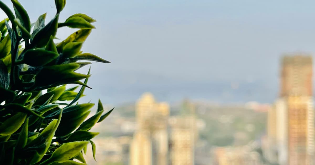 Propuesta de Cobertura de Medicare para Productos de Cáñamo Despierta Interés de la Industria en Medio del Debate sobre Política Federal del Cannabis