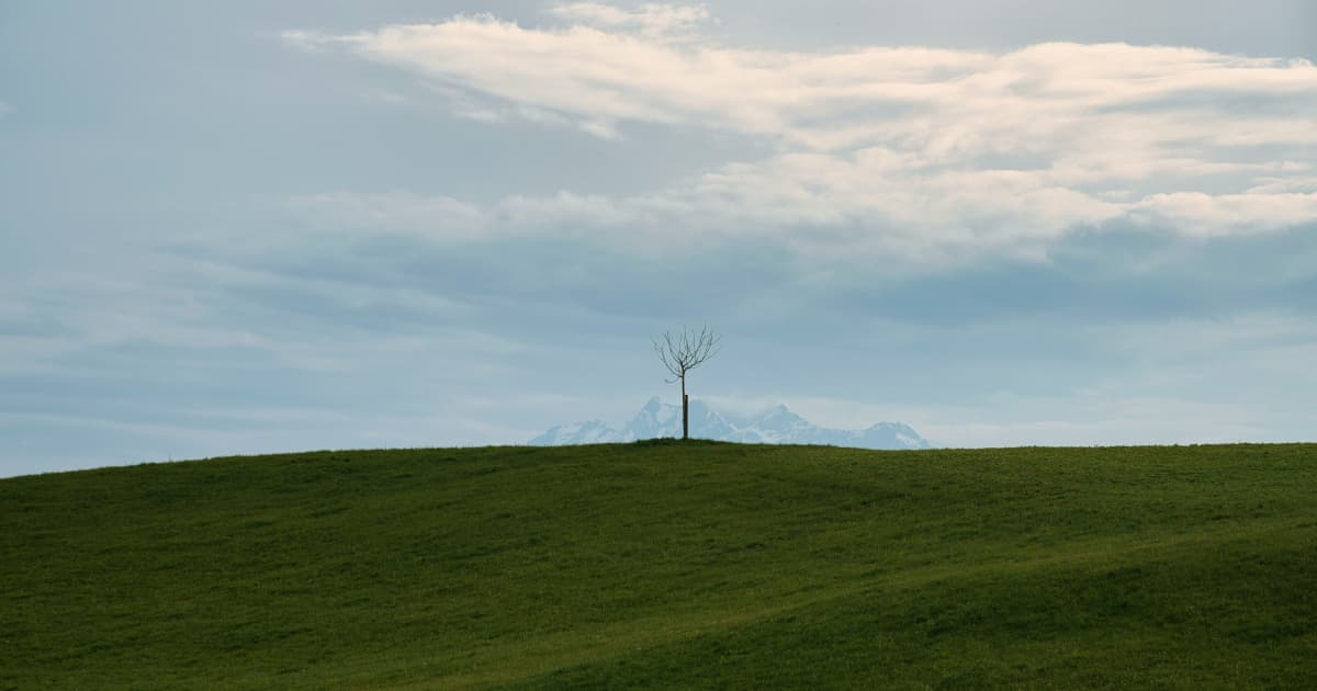 Dairy Alliance, Virginia Dairymen y Farm Credit amplían las subvenciones para dispensadores de leche en escuelas de Virginia