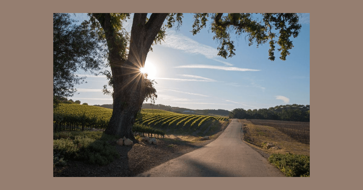 Conway Law Practice celebra premio Super Lawyers Rising Stars 2025 y victorias significativas en derecho familiar en Santa Rosa