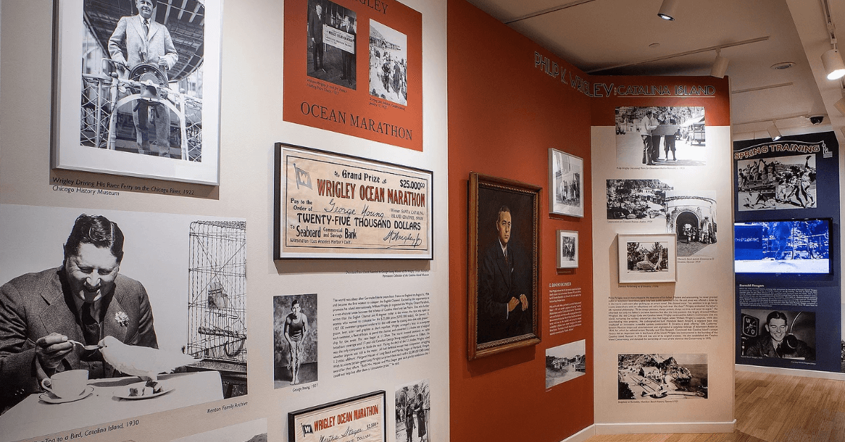 El Museo Catalina Anuncia Celebración de Fin de Verano para Honrar al Dr. Richard Denney y Recaudar Fondos