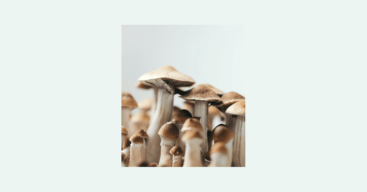 La DEA avanza en la reclasificación de la psilocibina, allanando el camino para terapias psiquedélicas reguladas