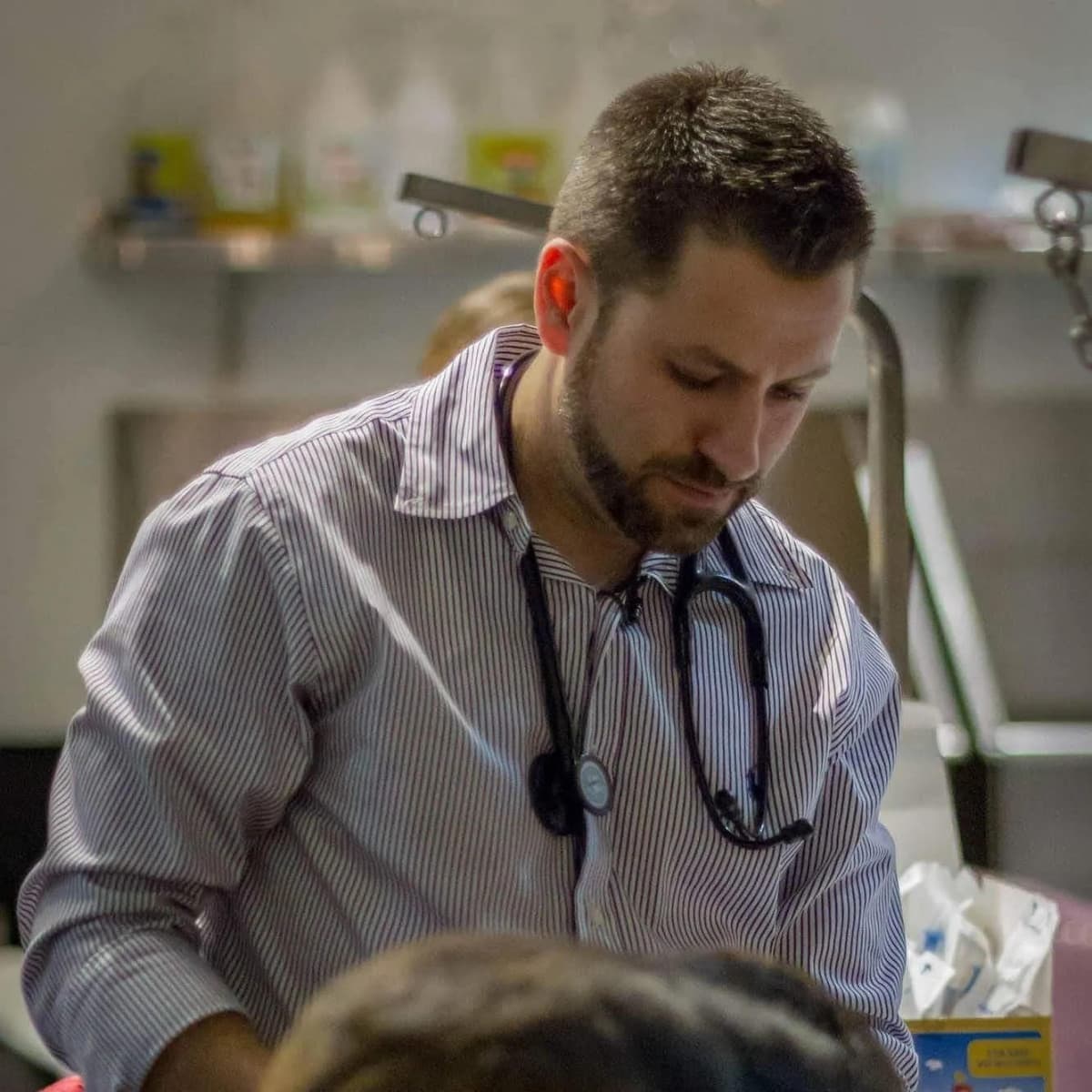 El Gobernador Newsom designa al Dr. Steve Manyak para la Junta Médica Veterinaria de California