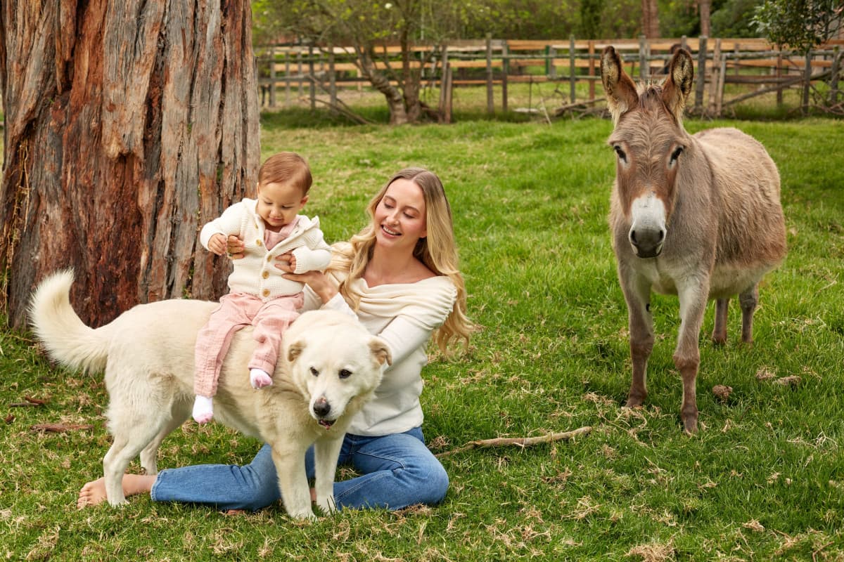 Los Fundadores de Search Atlas Inauguran Santuario Animal Permanente en Colombia, con Apoyo de Plataforma de SEO con IA