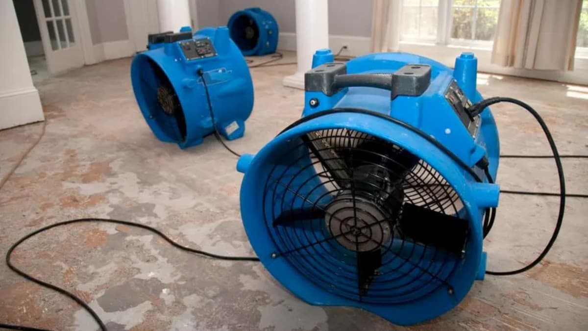 Reseñas de Daños por Agua en Houston Destacan Respuesta en 24 Horas y Técnicos Certificados por IICRC