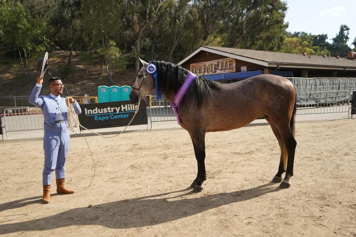Bryan González logra triunfo destacado con caballo andaluz en Feria Ecuestre Española de California