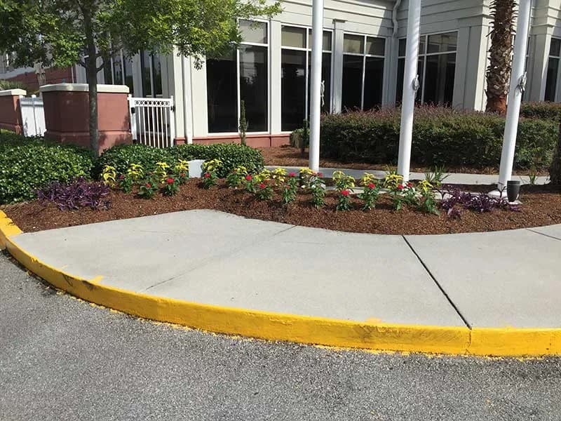 Turf Scouts celebra 15 años de servicios de cuidado del césped en Savannah e Isle of Hope