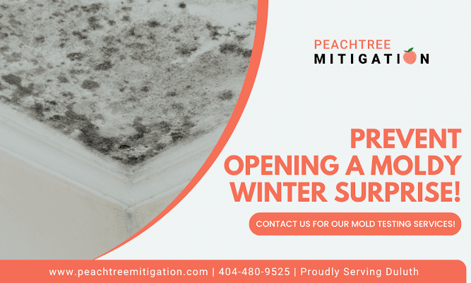 Empresa de Restauración de Duluth Insta a Propietarios a Abordar Riesgos Ocultos de Moho Mediante Pruebas Proactivas