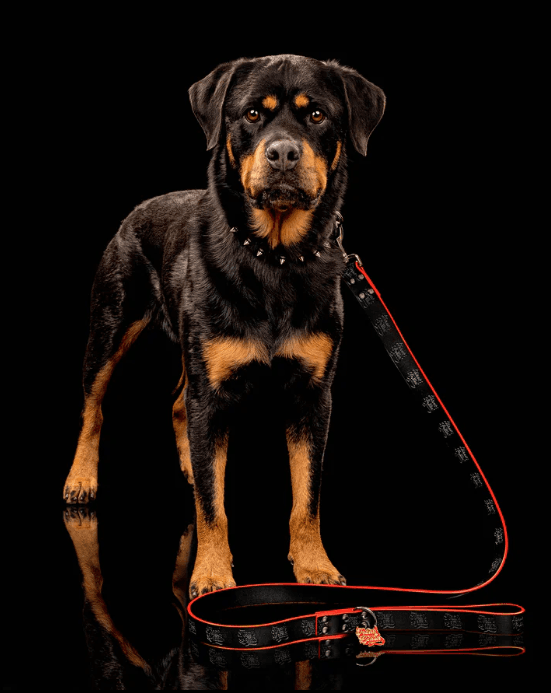 Freak On a Leash amplía su línea de arneses de cuero para dueños de mascotas alternativos