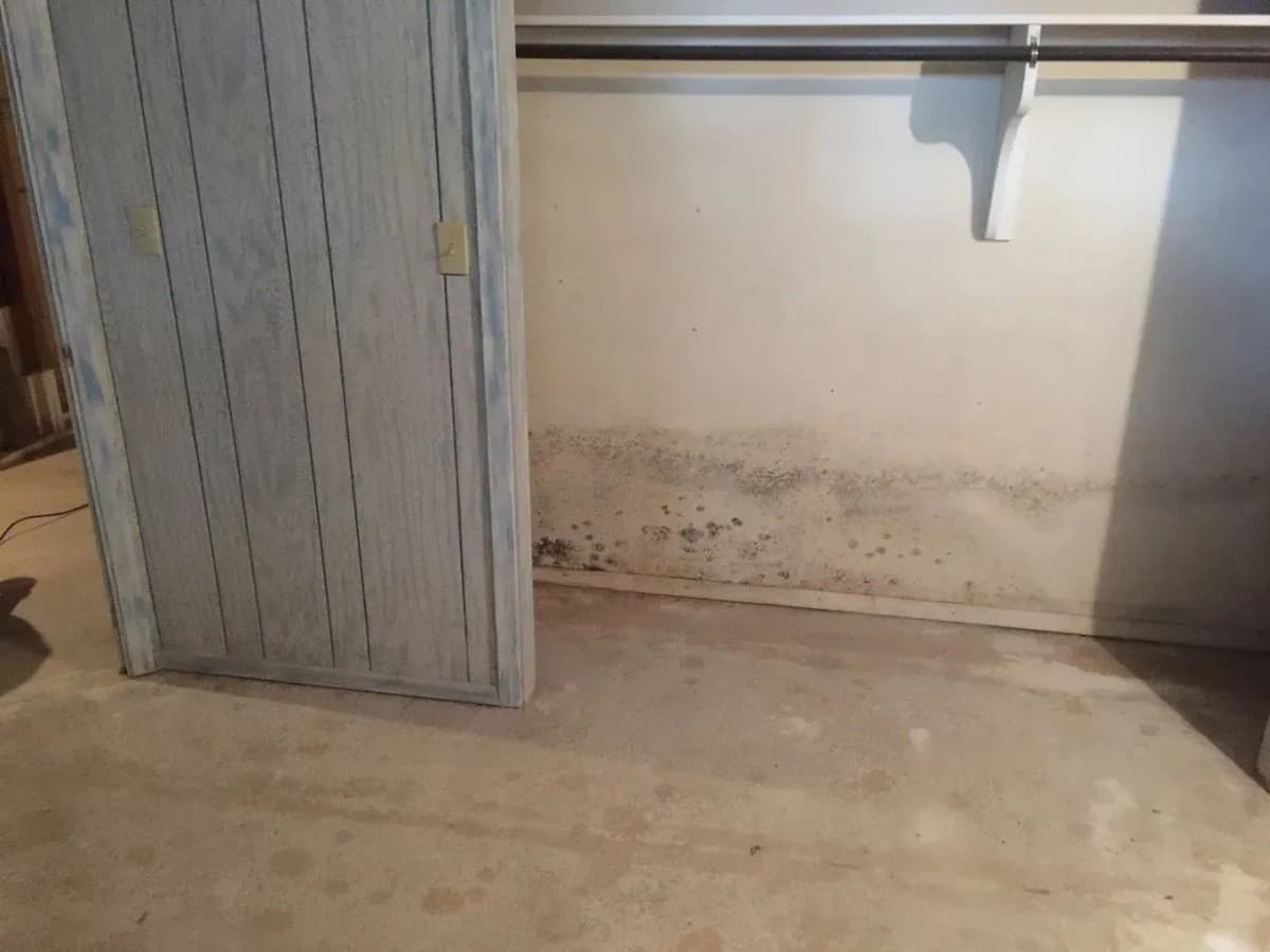 FreshCo Cleaning & Restoration amplía sus servicios de remediación de moho en Wichita con inspección estructurada y verificación de calidad del aire