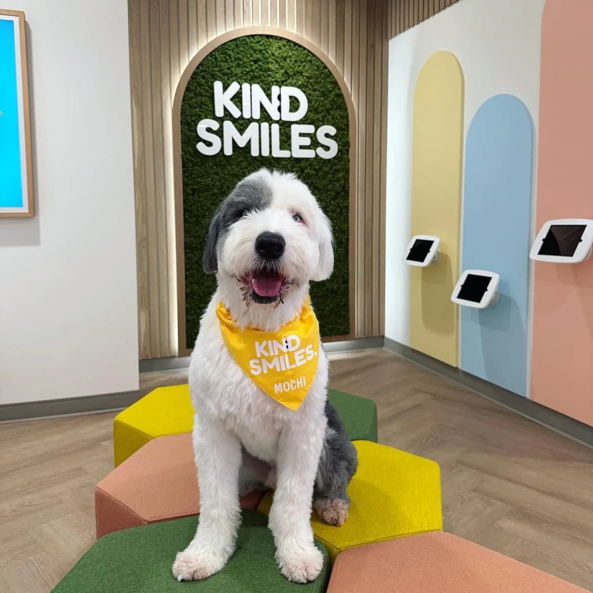 Kind Smiles Ortodoncia y Odontología Pediátrica Establece Atención Dental Integral Familiar en Irvine