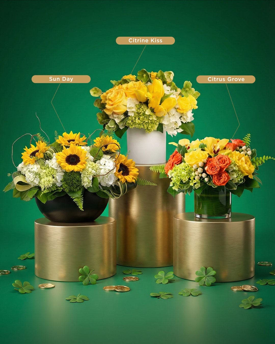 Floristería de Juno Beach Lanza Colección Exclusiva de Orquídeas para la Comunidad Costera