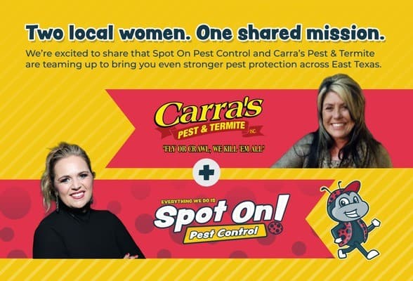 Dos empresas de control de plagas propiedad de mujeres se unen para expandir servicios en el este de Texas