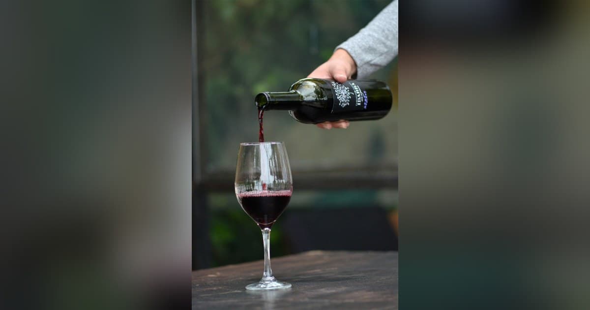 10Musica publica una guía actualizada de calorías del vino antes de la temporada navideña