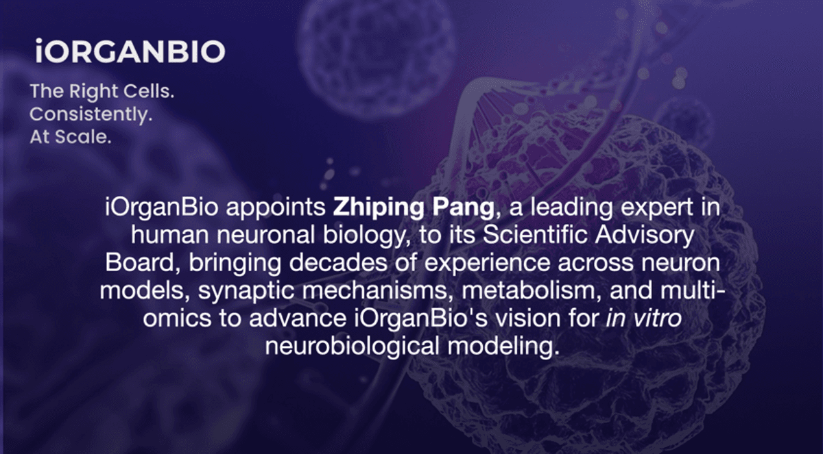 iOrganBio nombra al experto en neurobiología Zhiping Pang para su consejo asesor científico