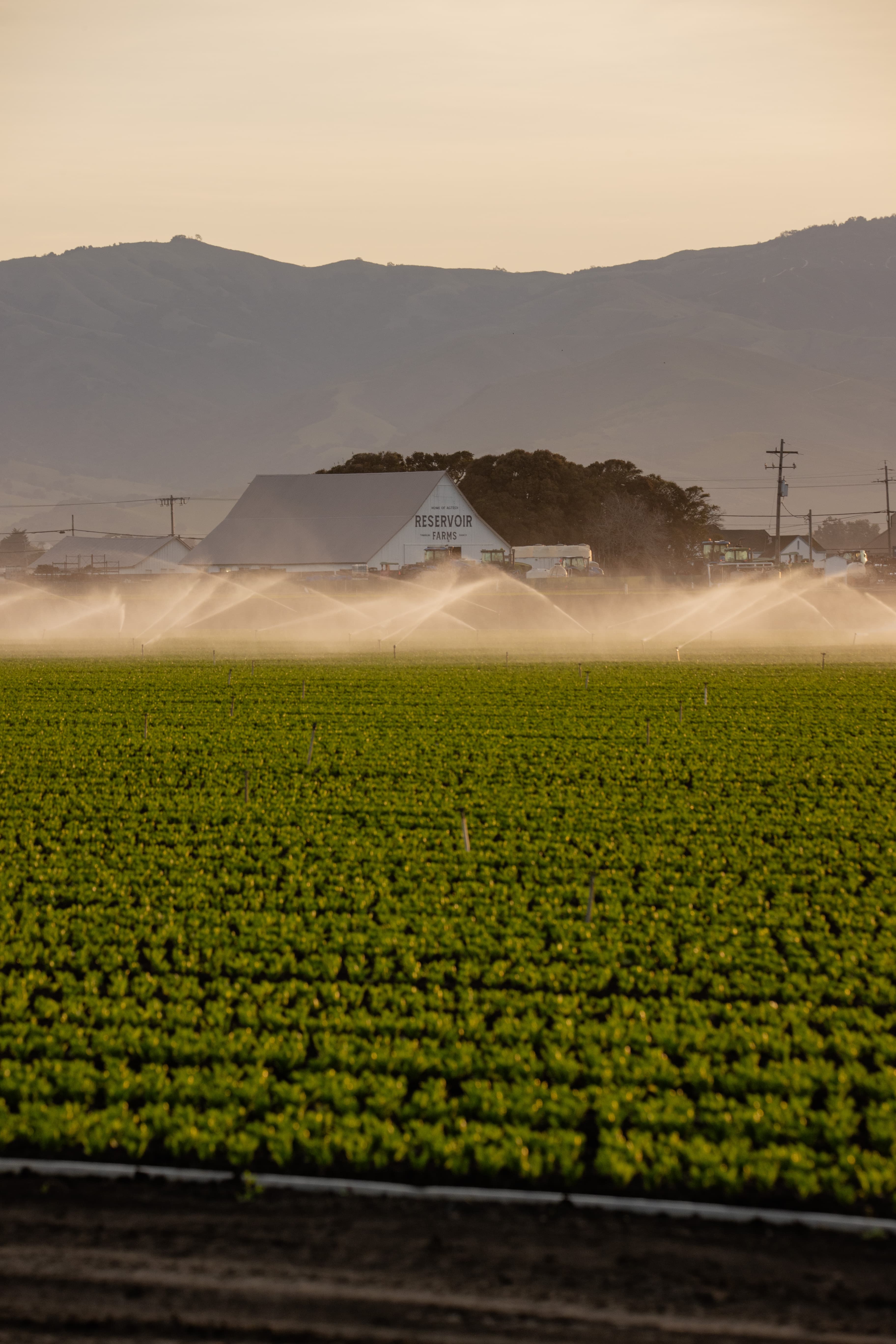 Reservoir introduce un nivel gratuito de asociado para reducir las barreras en la innovación AgTech