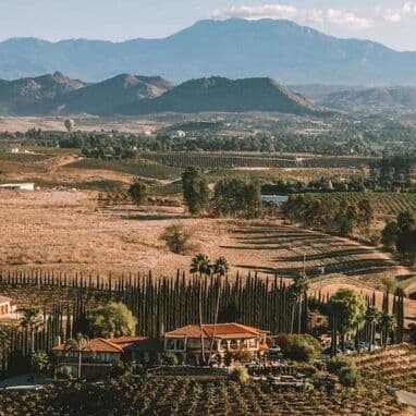 La región vinícola del sur de California se consolida como centro logístico estratégico ante cambios arancelarios