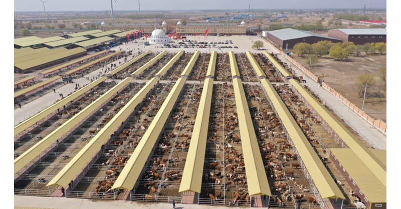 La Liga de Hinggan exhibe turismo agrícola y cultural en el Carnaval de Beijing