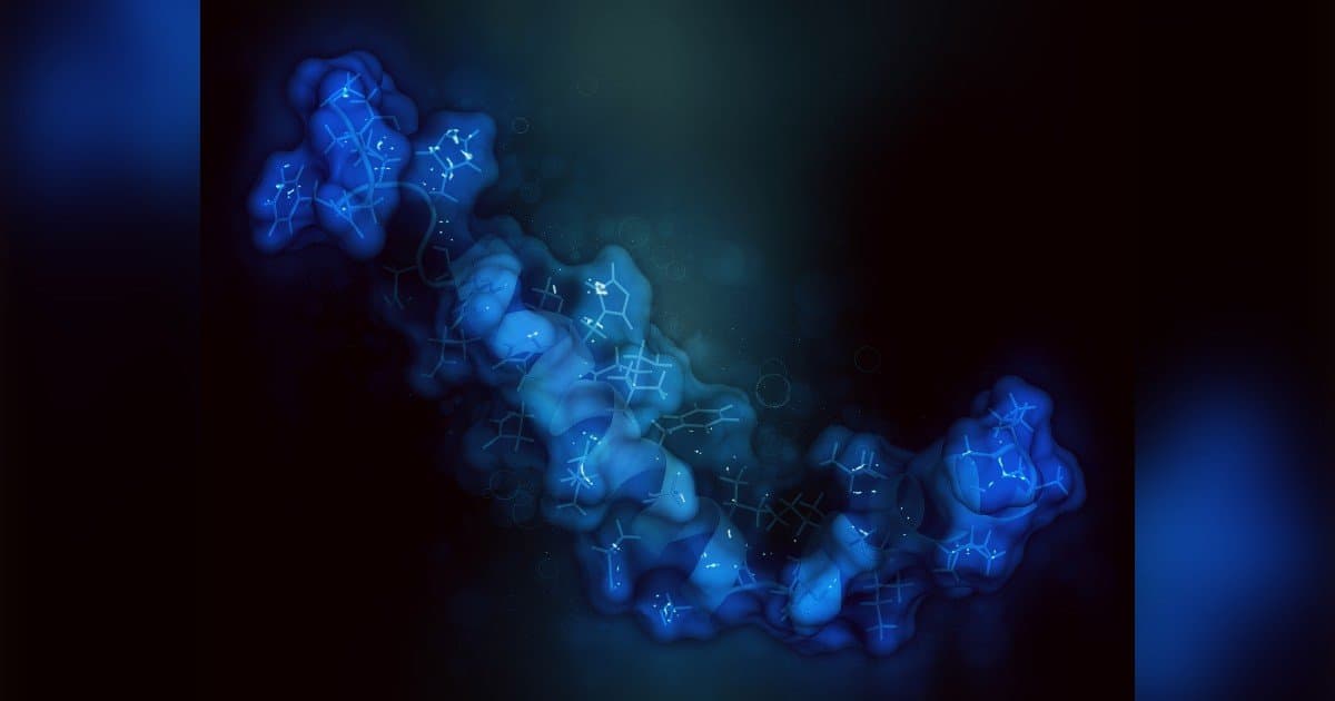 Los estudios de ADME in vitro agilizan el desarrollo de fármacos con datos tempranos