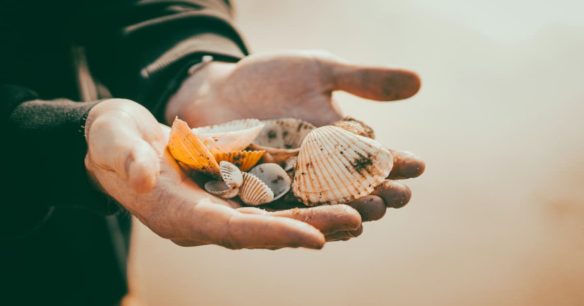 Smileology Establece un Estándar Integral de Atención Dental en la Costa Esmeralda de Florida