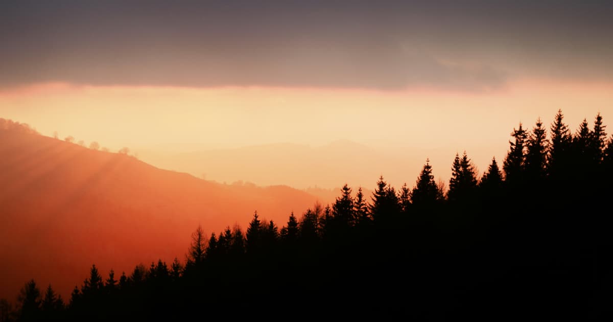 Eve Wilson de SpiritualHealers.com invita al mundo a recordar su totalidad en medio de tiempos de transformación global