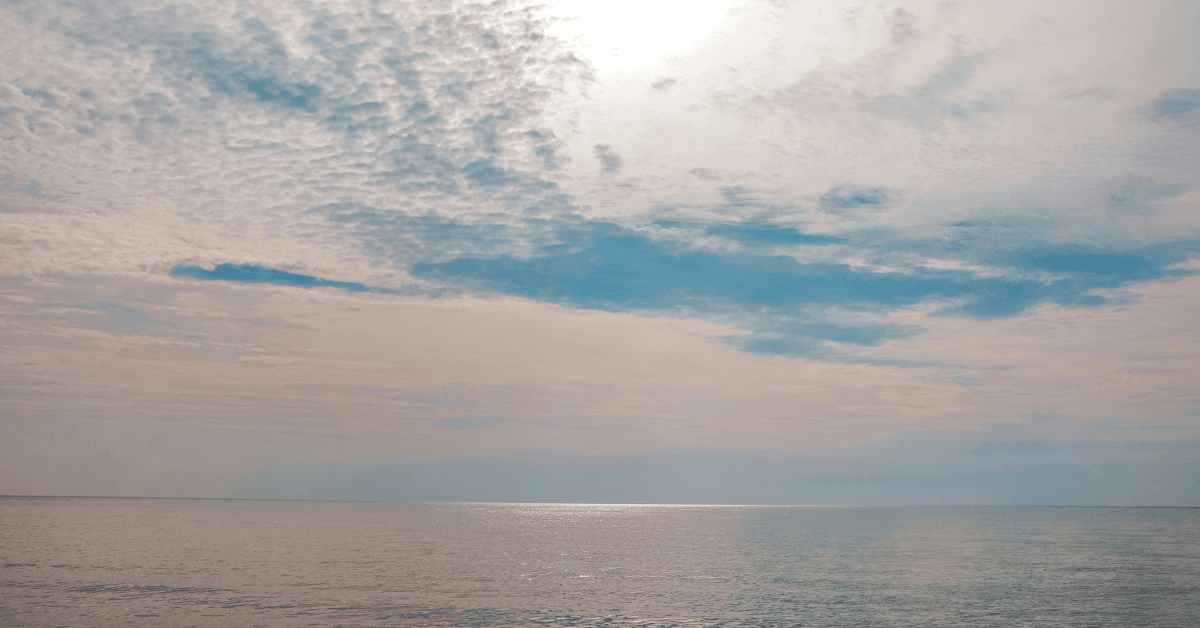Nuevo libro explora el papel de los Parques Azules en la conservación del Mar de China Meridional y la construcción de paz