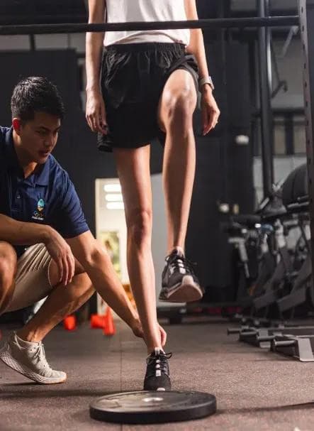 Limitless Therapy and Wellness Lanza Servicios de Terapia Física Personalizada en Greenville, SC