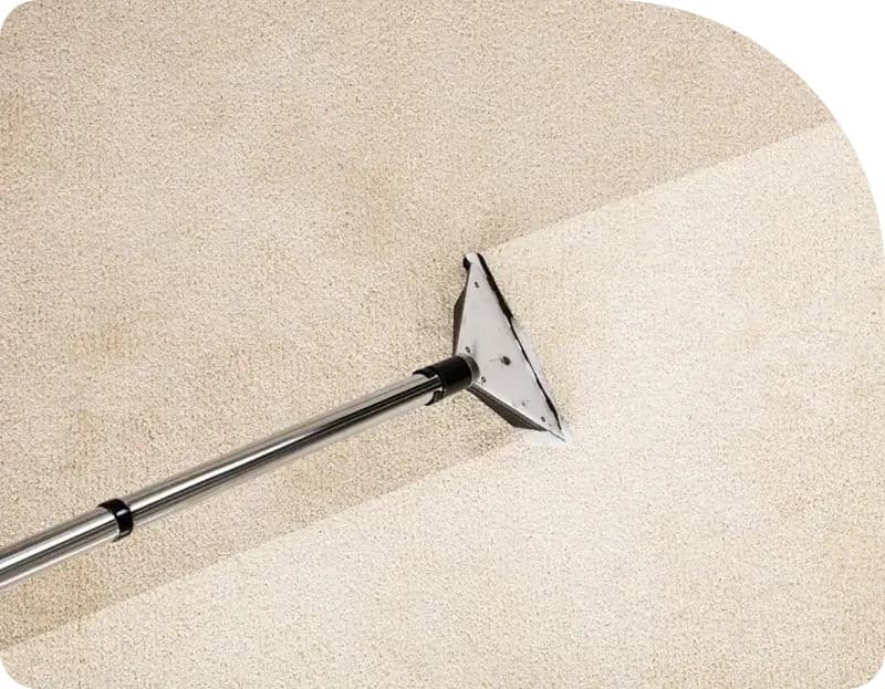 Los Avances Tecnológicos de Flood Squad Redefinen los Estándares de Restauración por Daños por Agua en Sídney