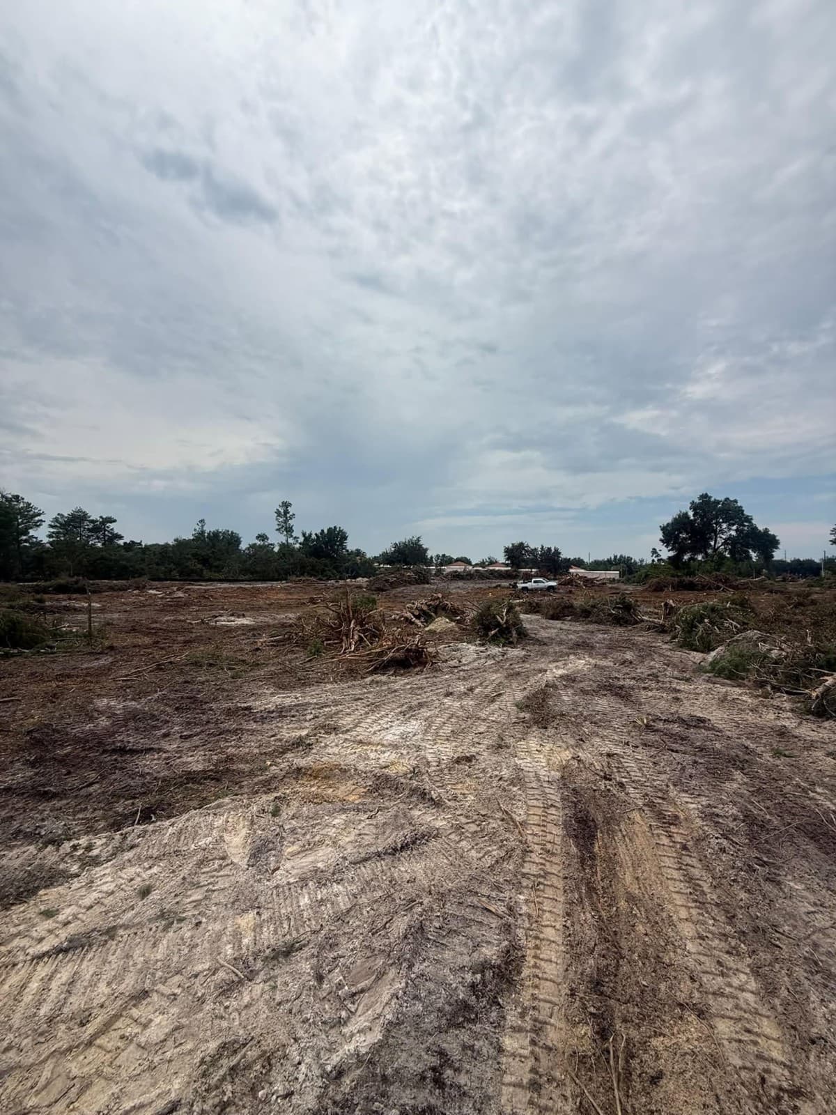 VB Tree Removal publica una guía completa sobre desmonte de terrenos y trituración forestal