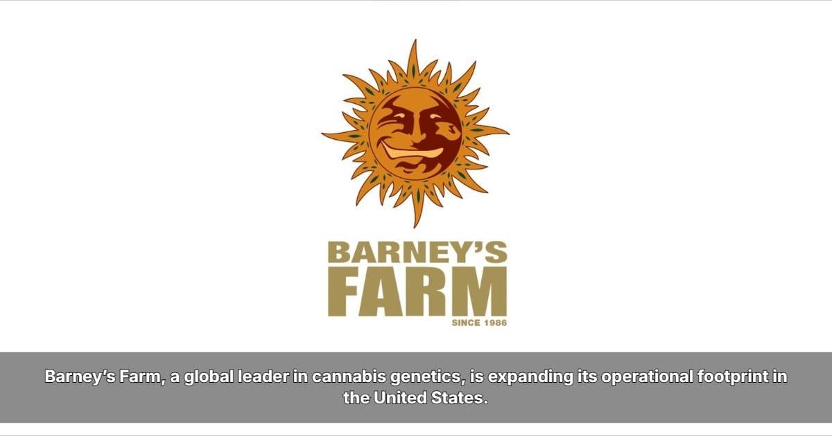 Barney's Farm revive variedades clásicas de cannabis para el cultivo moderno en su expansión en EE.UU.